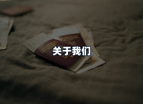 关于我们